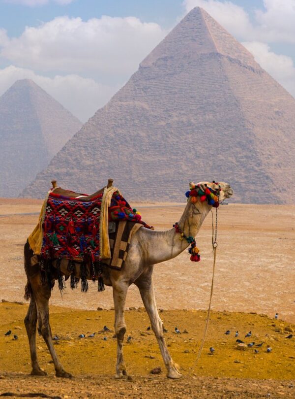 Egipt Kierunek Travel
