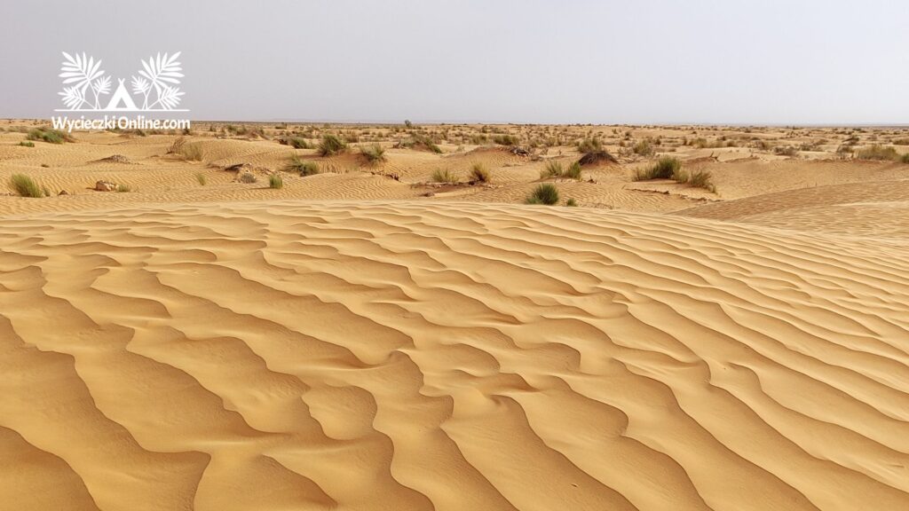 wycieczka fakultatywna sahara tunezja
