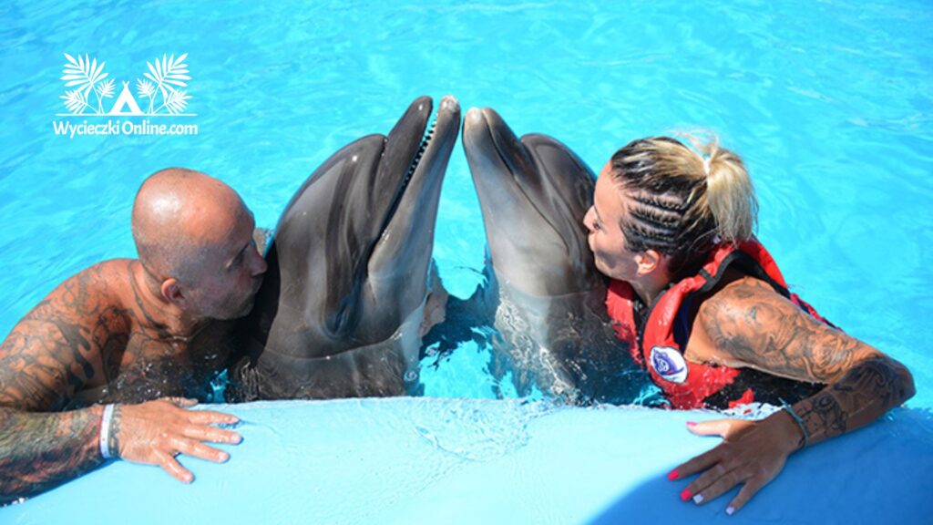 wycieczka fakultatywna delfinarium