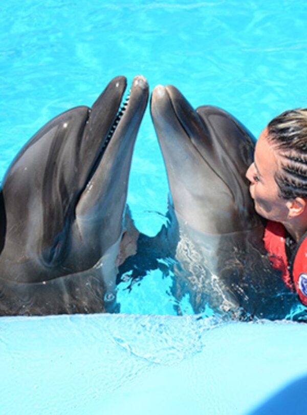 wycieczka fakultatywna delfinarium