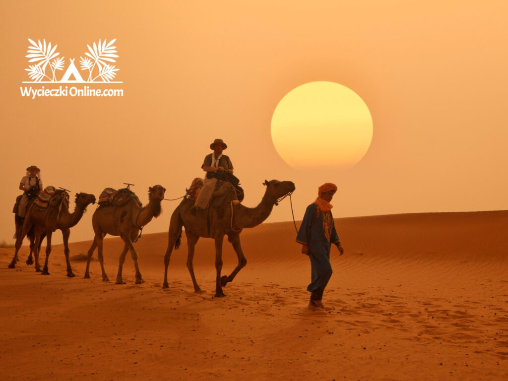 wycieczka fakultatywna sahara kontynent