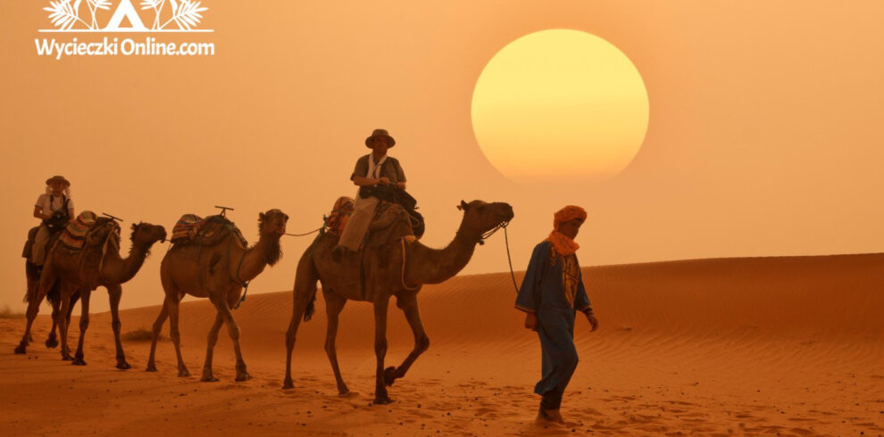 wycieczka fakultatywna sahara kontynent